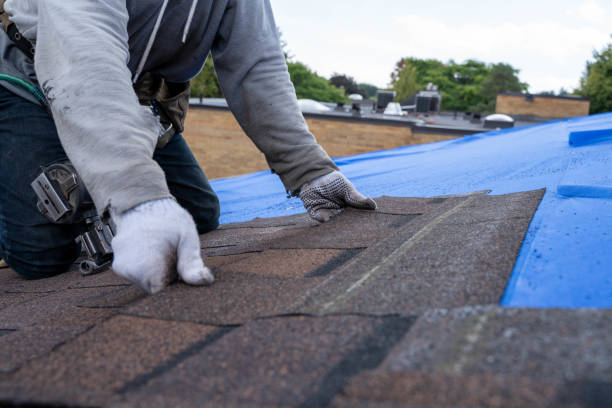 Best New Roof Installation  in Goldstream, AK