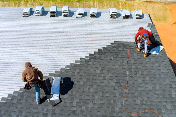 Best Metal Roofing Contractor  in Goldstream, AK