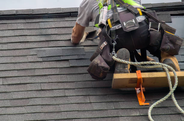 Best Storm Damage Roof Repair  in Goldstream, AK