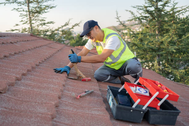 Best Tile Roofing Contractor  in Goldstream, AK