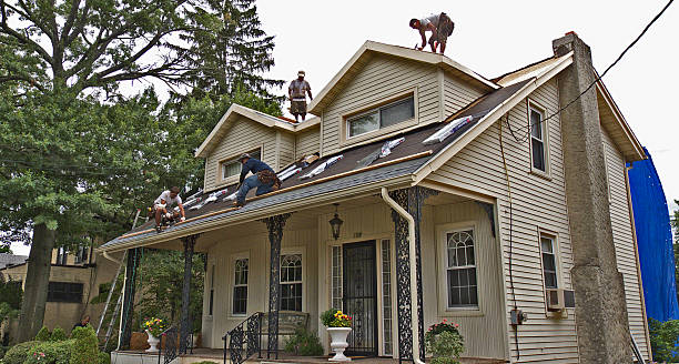 Best Residential Roofing Contractor  in Goldstream, AK