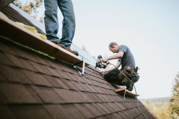 Best Flat Roof Repair Services  in Goldstream, AK