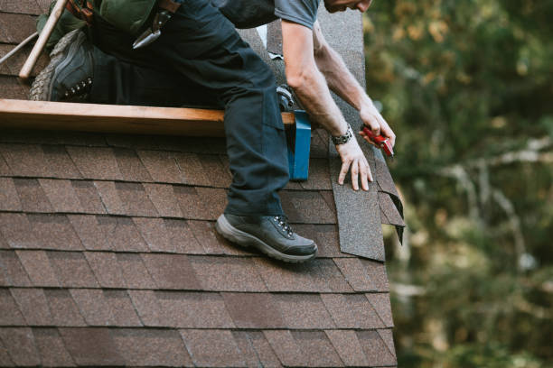 Best Roof Maintenance Services  in Goldstream, AK
